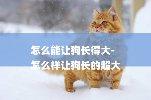 怎么能讓狗長得大-
怎么樣讓狗長的超大