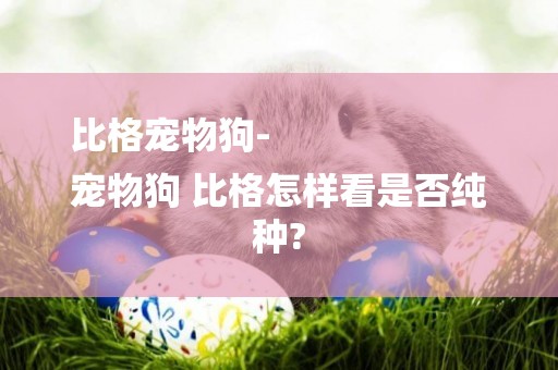 比格寵物狗-
寵物狗 比格怎樣看是否純種?