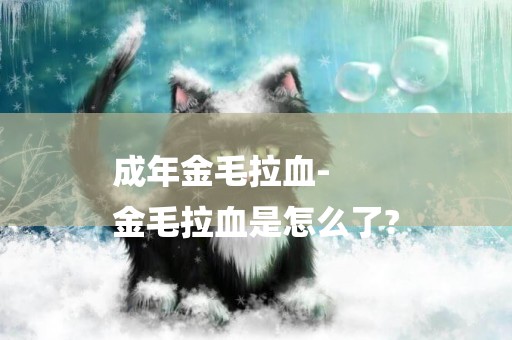 成年金毛拉血-
金毛拉血是怎么了?