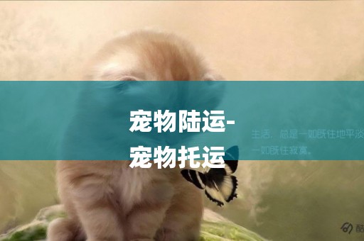 寵物陸運-
寵物托運