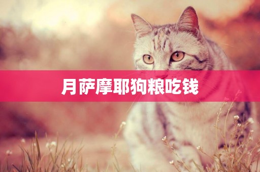 月薩摩耶狗糧吃錢