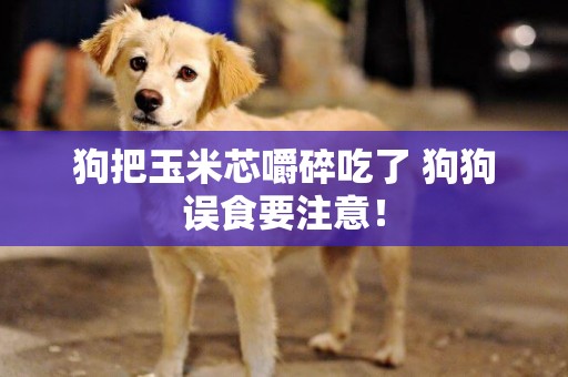 狗把玉米芯嚼碎吃了 狗狗誤食要注意！