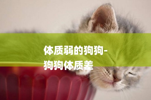 體質弱的狗狗-
狗狗體質差