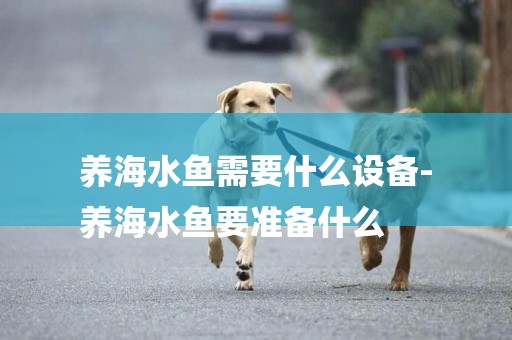 養海水魚需要什么設備-
養海水魚要準備什么