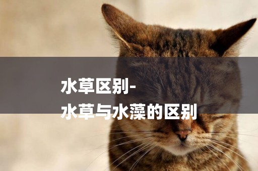 水草區別-
水草與水藻的區別
