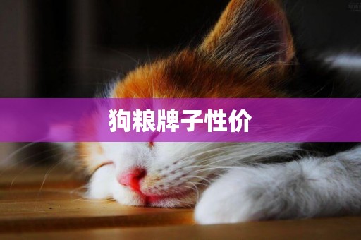 狗糧牌子性價