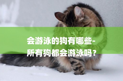 會游泳的狗有哪些-
所有狗都會游泳嗎？