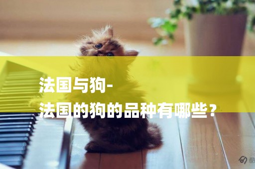 法國與狗-
法國的狗的品種有哪些？