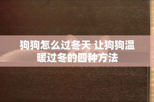 狗狗怎么過冬天 讓狗狗溫暖過冬的四種方法