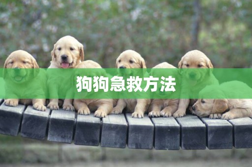 狗狗急救方法