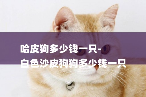 哈皮狗多少錢一只-
白色沙皮狗狗多少錢一只