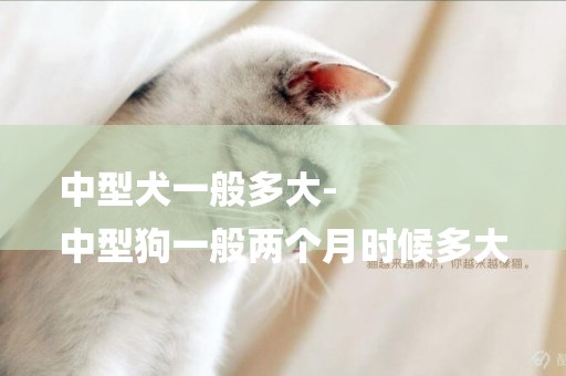 中型犬一般多大-
中型狗一般兩個月時候多大