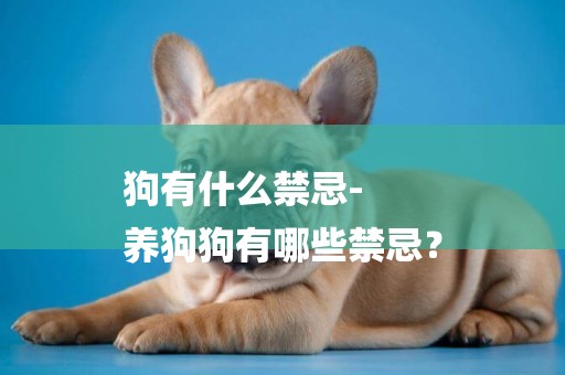 狗有什么禁忌-
養狗狗有哪些禁忌？