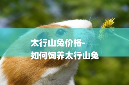 太行山兔價格-
如何飼養太行山兔