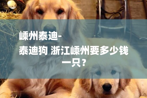 嵊州泰迪-
泰迪狗 浙江嵊州要多少錢一只？
