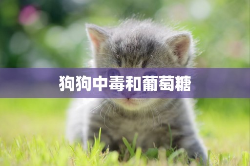 狗狗中毒和葡萄糖