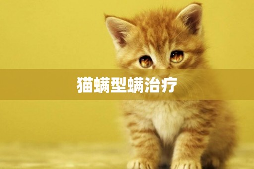 貓螨型螨治療