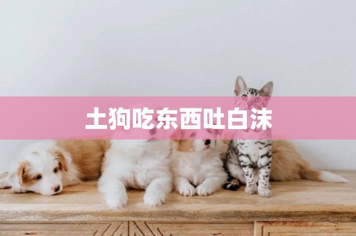 土狗吃東西吐白沫