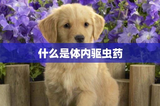 什么是體內驅蟲藥