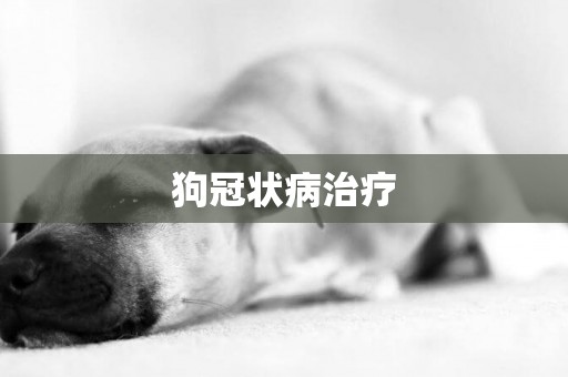狗冠狀病治療