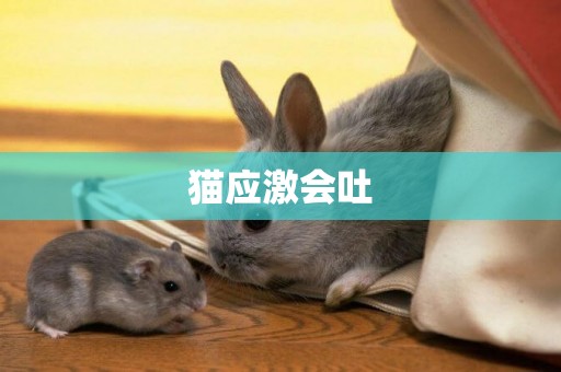 貓應激會吐