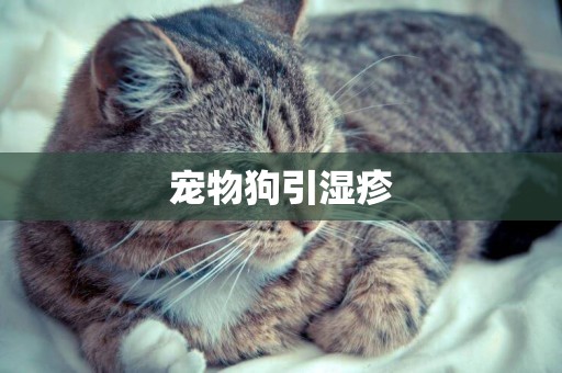 寵物狗引濕疹