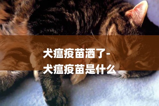 犬瘟疫苗灑了-
犬瘟疫苗是什么