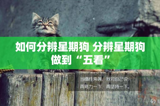 如何分辨星期狗 分辨星期狗做到“五看”