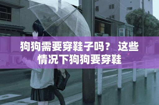 狗狗需要穿鞋子嗎？ 這些情況下狗狗要穿鞋
