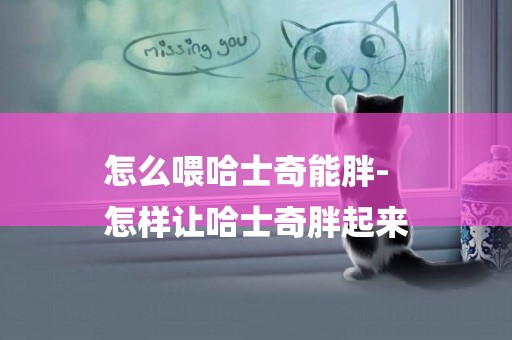 怎么喂哈士奇能胖-
怎樣讓哈士奇胖起來