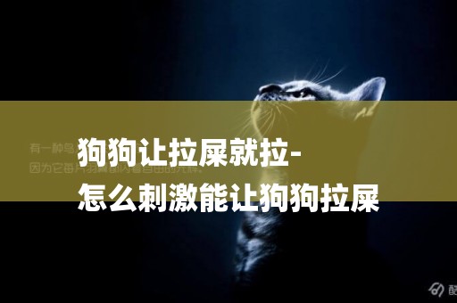 狗狗讓拉屎就拉-
怎么刺激能讓狗狗拉屎