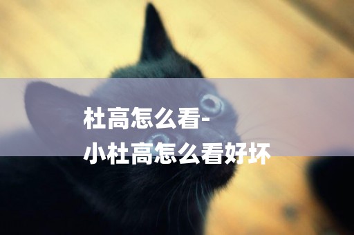 杜高怎么看-
小杜高怎么看好壞
