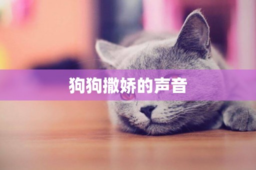 狗狗撒嬌的聲音