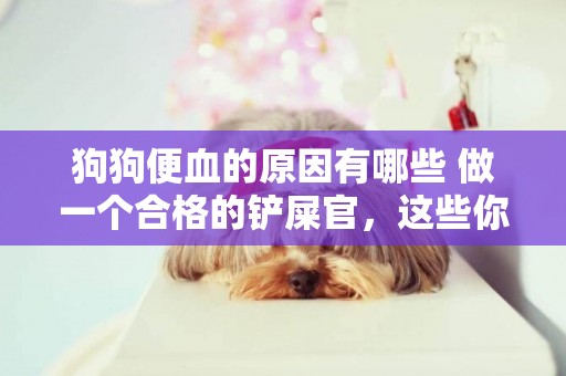 狗狗便血的原因有哪些 做一個合格的鏟屎官，這些你得了解
