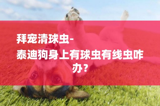 拜寵清球蟲-
泰迪狗身上有球蟲有線蟲咋辦？