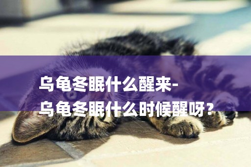 烏龜冬眠什么醒來-
烏龜冬眠什么時候醒呀？