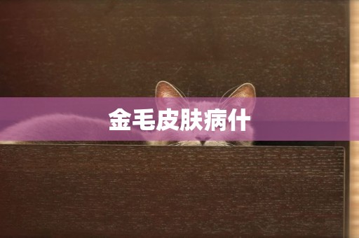 金毛皮膚病什
