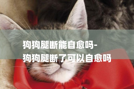 狗狗腿斷能自愈嗎-
狗狗腿斷了可以自愈嗎