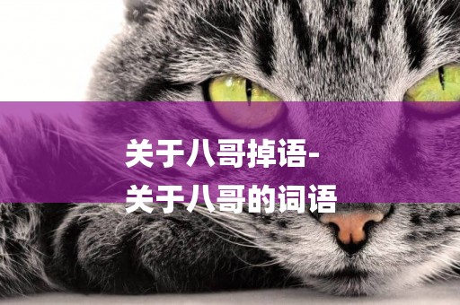 關于八哥掉語-
關于八哥的詞語