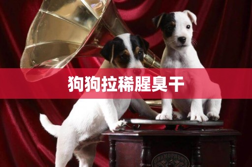 狗狗拉稀腥臭干