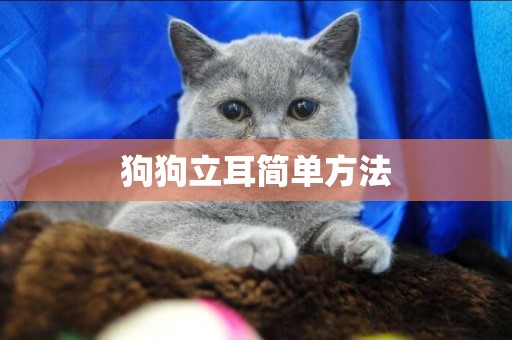 狗狗立耳簡單方法