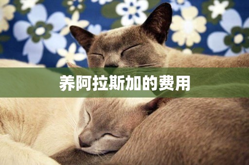 養阿拉斯加的費用