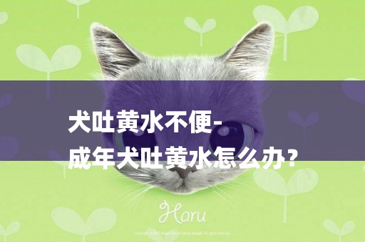 犬吐黃水不便-
成年犬吐黃水怎么辦？