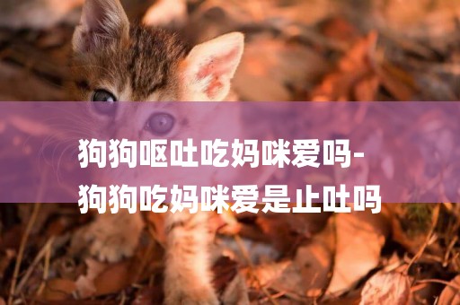 狗狗嘔吐吃媽咪愛嗎-
狗狗吃媽咪愛是止吐嗎