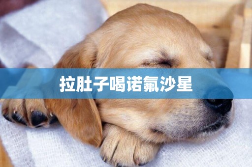 拉肚子喝諾氟沙星