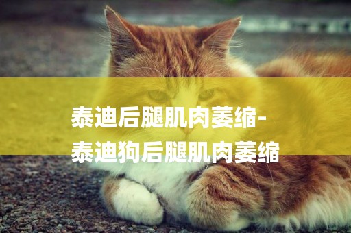 泰迪后腿肌肉萎縮-
泰迪狗后腿肌肉萎縮