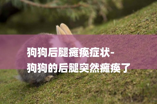 狗狗后腿癱瘓癥狀-
狗狗的后腿突然癱瘓了