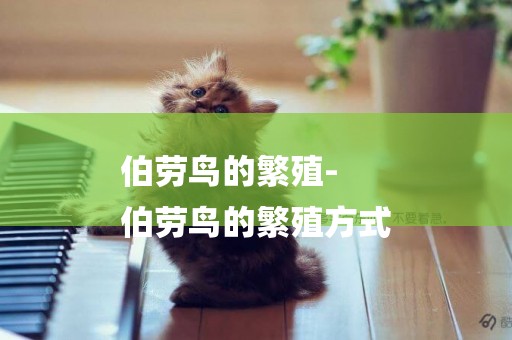 伯勞鳥的繁殖-
伯勞鳥的繁殖方式
