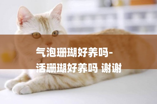 氣泡珊瑚好養嗎-
活珊瑚好養嗎 謝謝