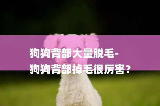 狗狗背部大量脫毛-
狗狗背部掉毛很厲害？